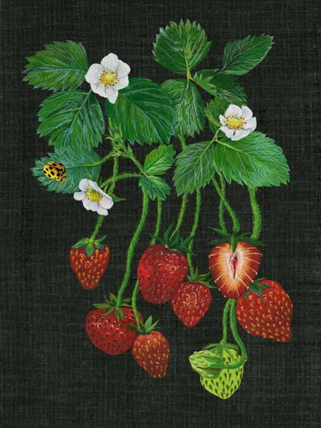 Strawberry Fields II White Modern Wood Framed Art Print with Double Matting by Wang, Melissa