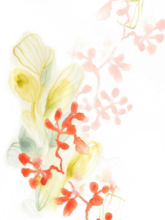 Image Only