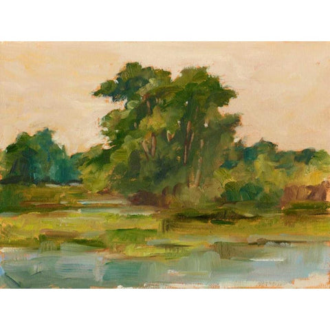 Changing Sunlight I Black Modern Wood Framed Art Print by Harper, Ethan