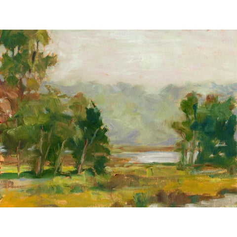 Changing Sunlight II Black Modern Wood Framed Art Print with Double Matting by Harper, Ethan