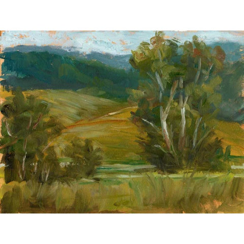 Changing Sunlight IV Gold Ornate Wood Framed Art Print with Double Matting by Harper, Ethan