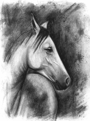 Charcoal Equestrian Portrait I Black Ornate Wood Framed Art Print with Double Matting by McCavitt, Naomi