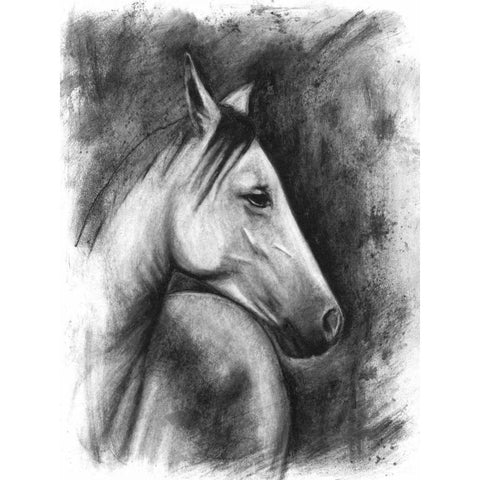 Charcoal Equestrian Portrait I White Modern Wood Framed Art Print by McCavitt, Naomi