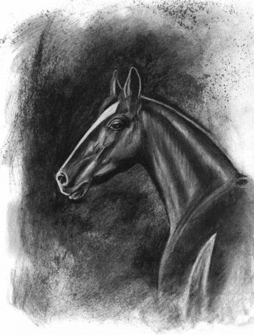 Charcoal Equestrian Portrait II Black Ornate Wood Framed Art Print with Double Matting by McCavitt, Naomi