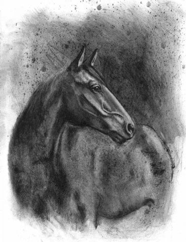 Charcoal Equestrian Portrait III White Modern Wood Framed Art Print with Double Matting by McCavitt, Naomi