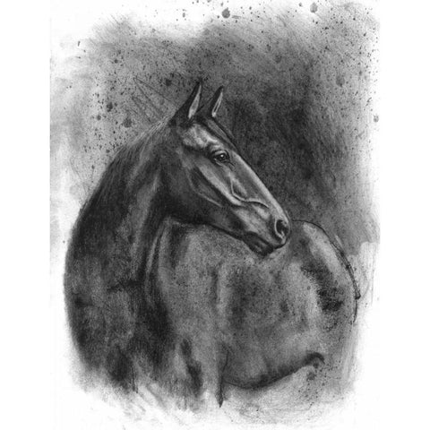 Charcoal Equestrian Portrait III Black Modern Wood Framed Art Print with Double Matting by McCavitt, Naomi