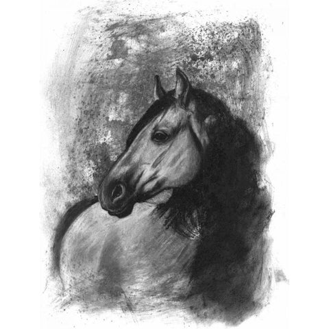 Charcoal Equestrian Portrait IV White Modern Wood Framed Art Print by McCavitt, Naomi