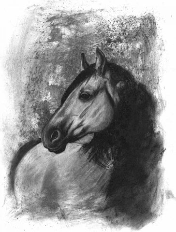 Charcoal Equestrian Portrait IV Black Ornate Wood Framed Art Print with Double Matting by McCavitt, Naomi