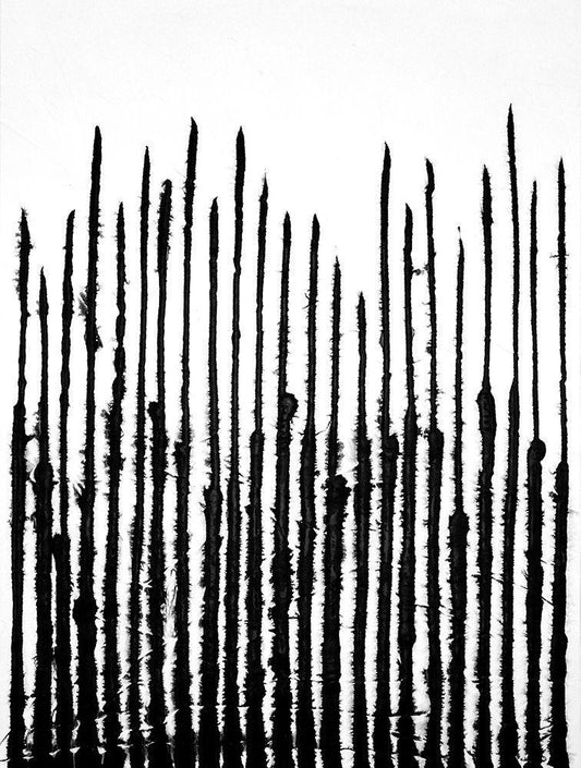 Image Only