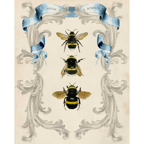 Bees and Filigree I Black Modern Wood Framed Art Print with Double Matting by McCavitt, Naomi