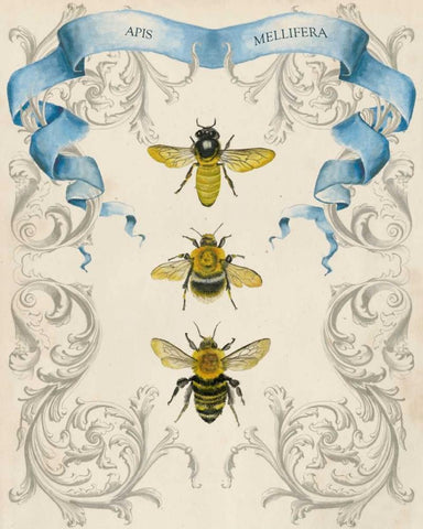 Bees and Filigree II Black Ornate Wood Framed Art Print with Double Matting by McCavitt, Naomi