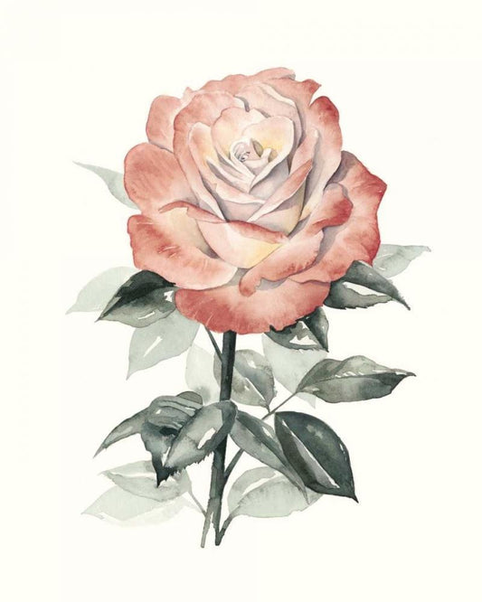 Image Only