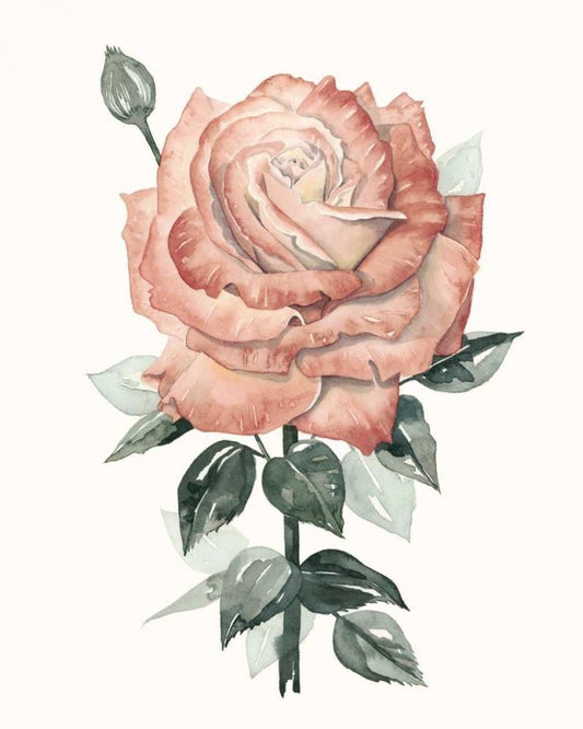 Image Only