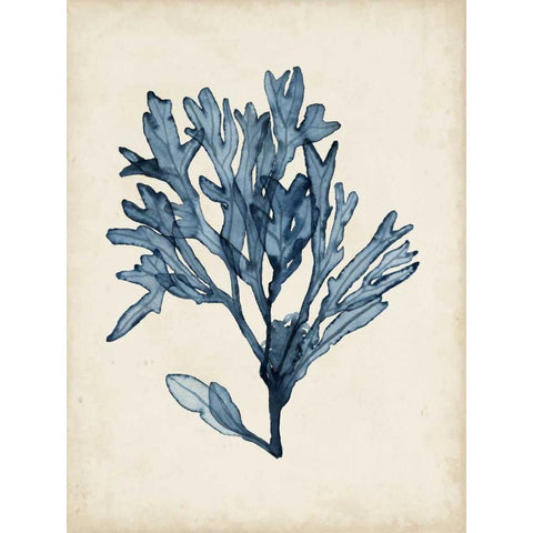 Seaweed Specimens II White Modern Wood Framed Art Print by McCavitt, Naomi