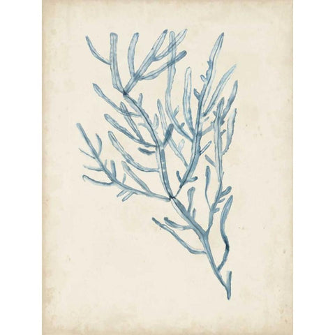 Seaweed Specimens III White Modern Wood Framed Art Print by McCavitt, Naomi