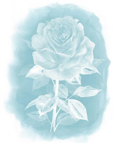 Ghost Rose I White Modern Wood Framed Art Print with Double Matting by Popp, Grace