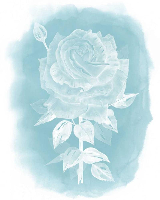 Image Only