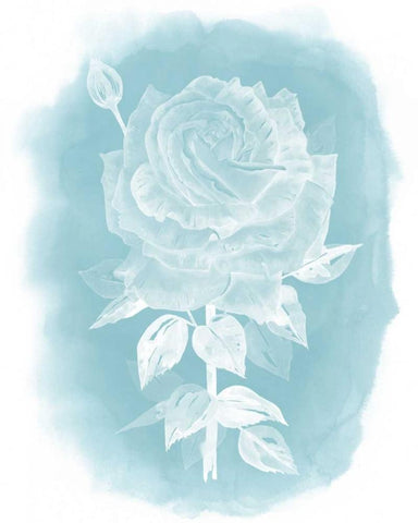 Ghost Rose II White Modern Wood Framed Art Print with Double Matting by Popp, Grace