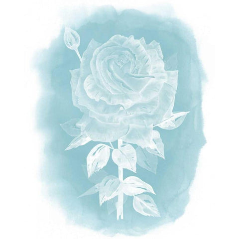 Ghost Rose II White Modern Wood Framed Art Print by Popp, Grace