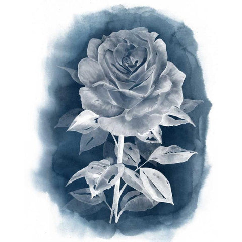 Ghost Rose III White Modern Wood Framed Art Print by Popp, Grace