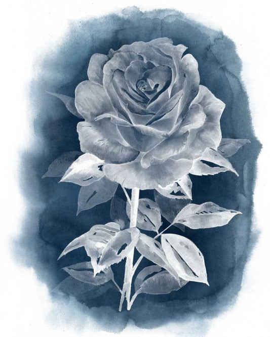 Image Only
