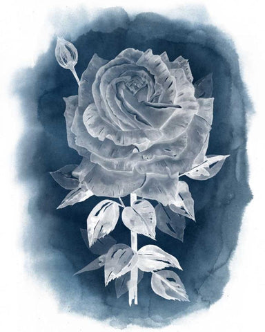 Ghost Rose IV White Modern Wood Framed Art Print with Double Matting by Popp, Grace