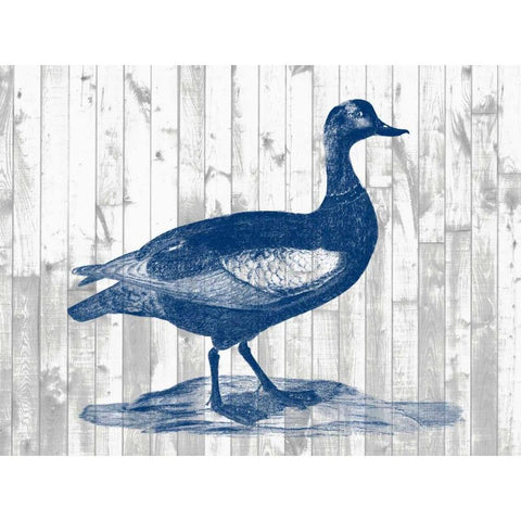 Woodgrain Fowl IV Black Modern Wood Framed Art Print with Double Matting by Goldberger, Jennifer