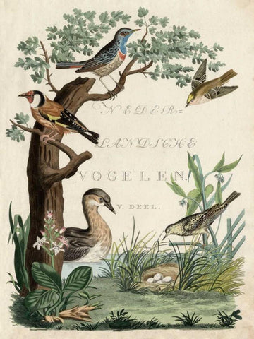 Duck Sanctuary  White Modern Wood Framed Art Print with Double Matting by Nozeman