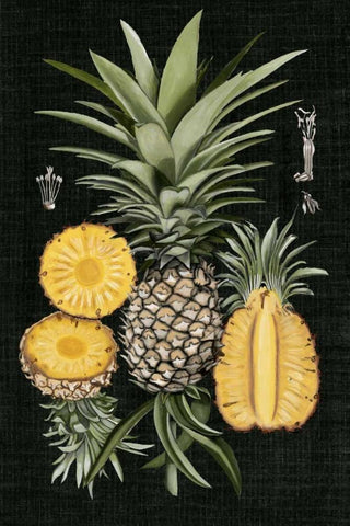 Graphic Pineapple Botanical Study I Black Ornate Wood Framed Art Print with Double Matting by McCavitt, Naomi