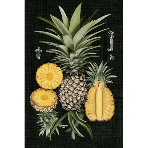 Graphic Pineapple Botanical Study I Black Modern Wood Framed Art Print with Double Matting by McCavitt, Naomi