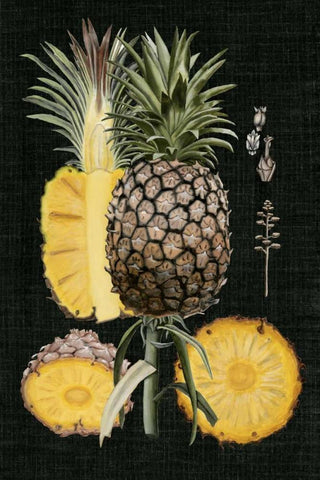 Graphic Pineapple Botanical Study II Black Ornate Wood Framed Art Print with Double Matting by McCavitt, Naomi