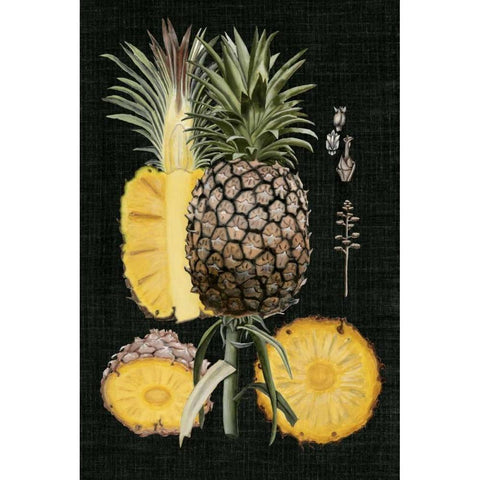 Graphic Pineapple Botanical Study II Gold Ornate Wood Framed Art Print with Double Matting by McCavitt, Naomi