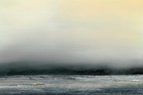 Ocean Tide IV Black Ornate Wood Framed Art Print with Double Matting by Gordon, Sharon