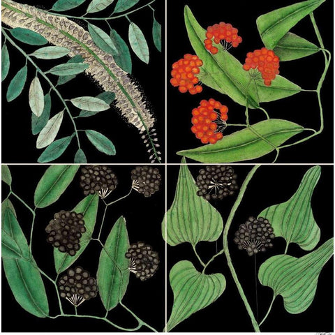 Graphic Botanical Grid IV Black Modern Wood Framed Art Print with Double Matting by Catesby, Mark