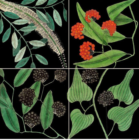 Graphic Botanical Grid IV Black Ornate Wood Framed Art Print with Double Matting by Catesby, Mark