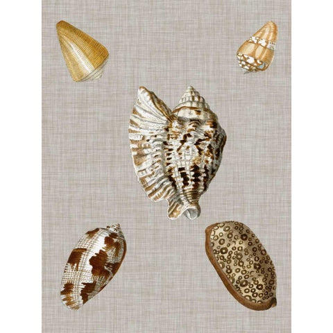 Shells on Linen I Black Modern Wood Framed Art Print with Double Matting by Vision Studio