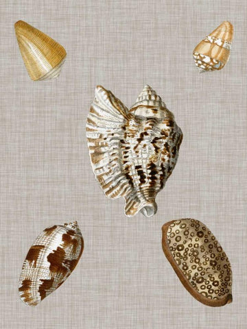 Shells on Linen I Black Ornate Wood Framed Art Print with Double Matting by Vision Studio