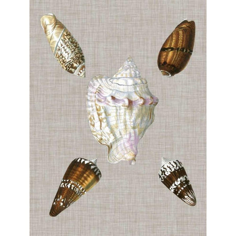 Shells on Linen II White Modern Wood Framed Art Print by Vision Studio