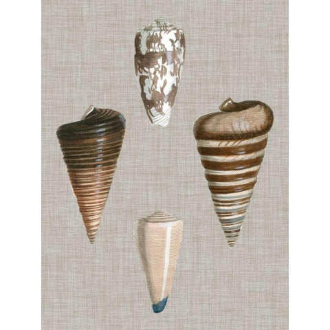 Shells on Linen III Gold Ornate Wood Framed Art Print with Double Matting by Vision Studio