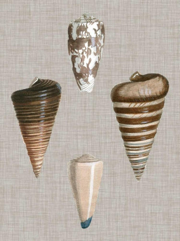 Shells on Linen III Black Ornate Wood Framed Art Print with Double Matting by Vision Studio