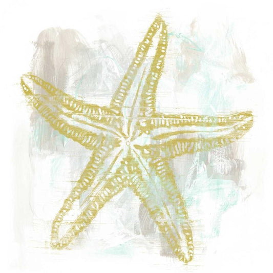 Image Only
