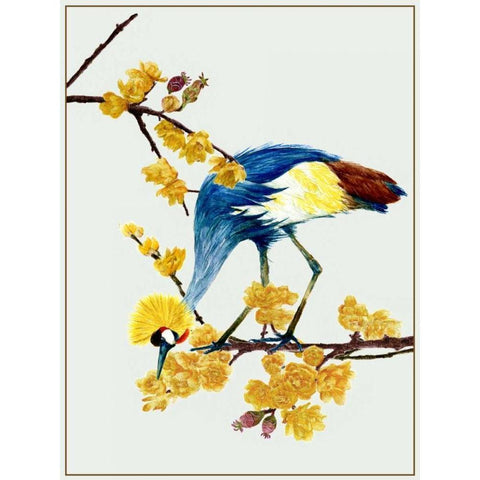 Chimonanthus Praecox I Black Modern Wood Framed Art Print with Double Matting by Wang, Melissa