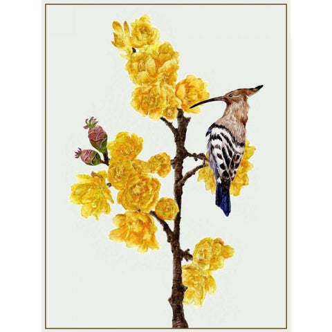 Chimonanthus Praecox II Gold Ornate Wood Framed Art Print with Double Matting by Wang, Melissa