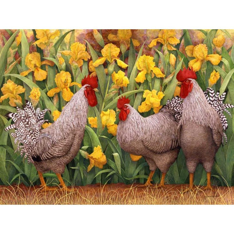 Roosters en Place II Black Modern Wood Framed Art Print with Double Matting by Matcham, Marcia