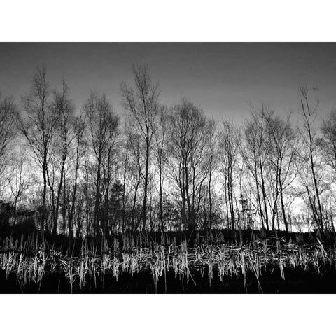 Watery Reflection White Modern Wood Framed Art Print by Henson, Martin