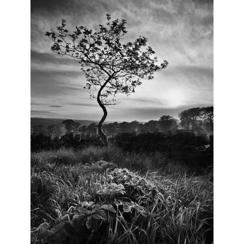 Curves Black Modern Wood Framed Art Print with Double Matting by Henson, Martin