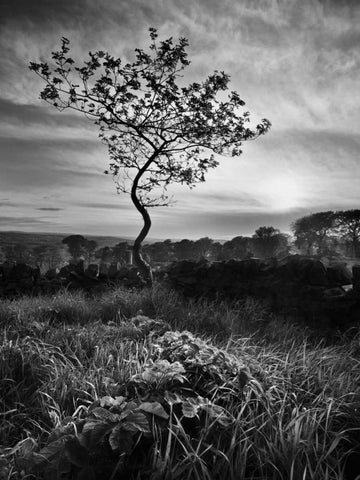 Curves White Modern Wood Framed Art Print with Double Matting by Henson, Martin