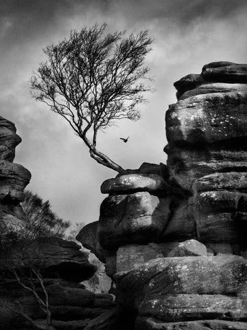 Rock Life White Modern Wood Framed Art Print with Double Matting by Henson, Martin