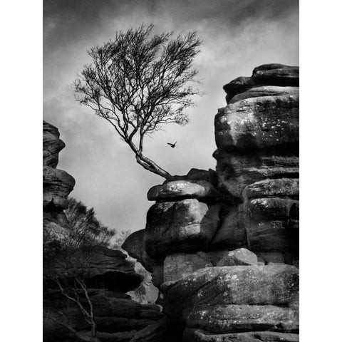 Rock Life Black Modern Wood Framed Art Print with Double Matting by Henson, Martin