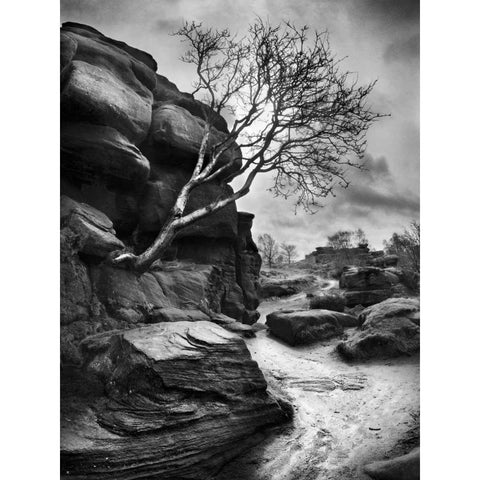 Outcrop Black Modern Wood Framed Art Print with Double Matting by Henson, Martin
